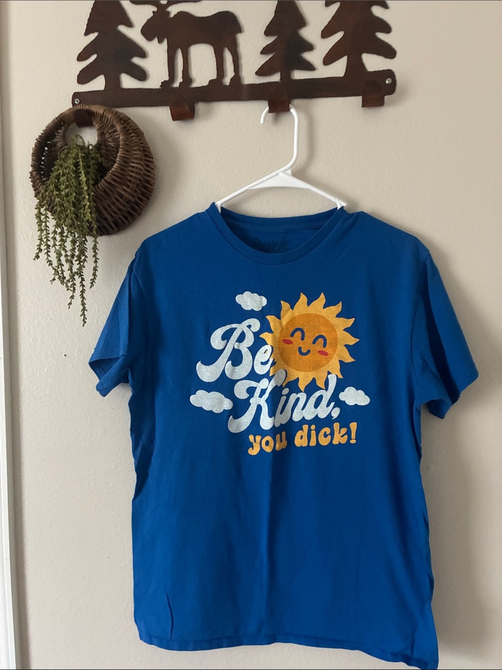 Funny graphic tee